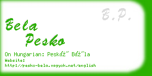 bela pesko business card